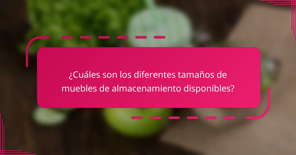¿Cuáles son los diferentes tamaños de muebles de almacenamiento disponibles?