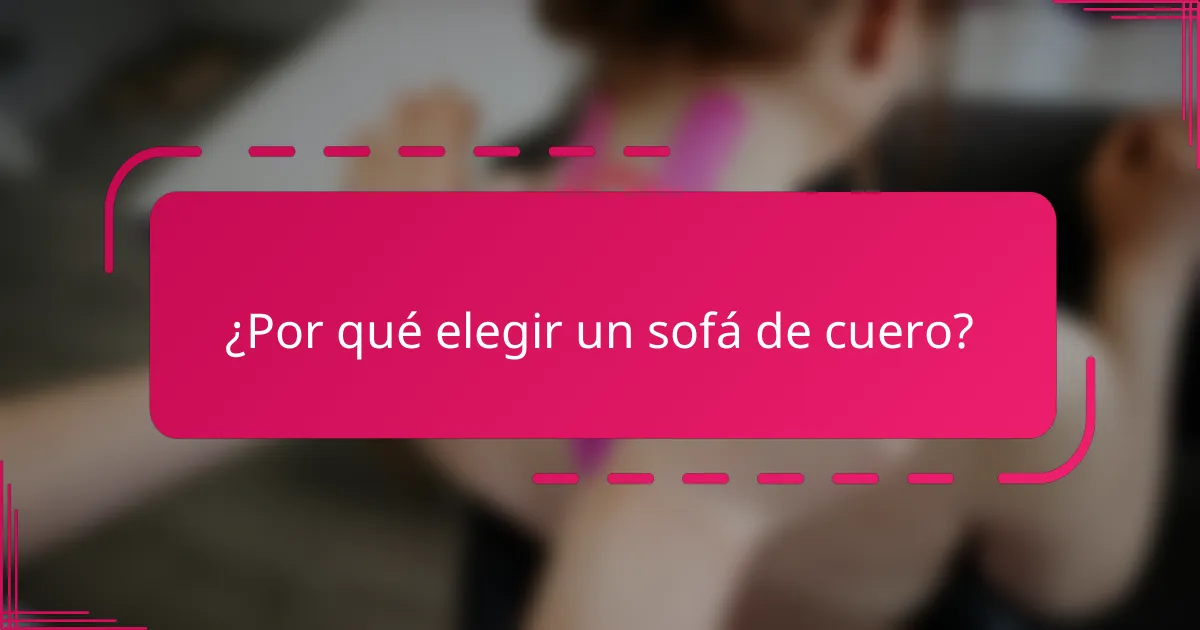 ¿Por qué elegir un sofá de cuero?