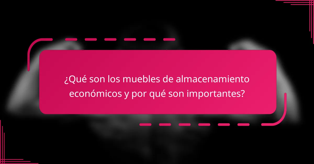 ¿Qué son los muebles de almacenamiento económicos y por qué son importantes?